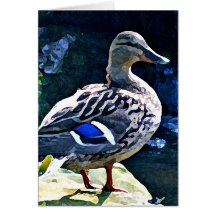Female Duck Keeping an Eye on You Cards