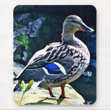 Female Duck Keeping an Eye on You Mousepad