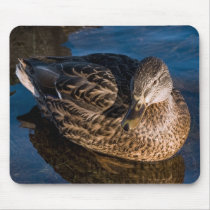 Female duck mousepads