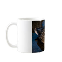 Female duck mugs