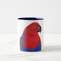 Female Eclectus 11oz mugs