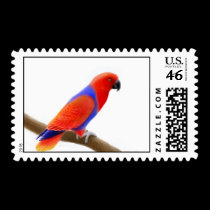 Female Eclectus Parrot postage