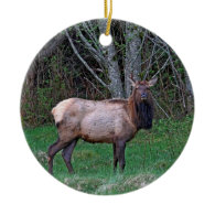 Female Elk Picture Christmas Tree Ornaments
