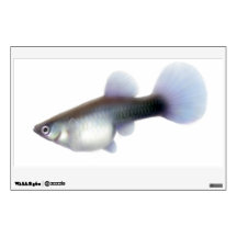 Female Fancy Guppy Fish Wall Decal