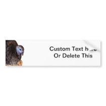 Female Florida Wild Turkey with baby chick Bumper Stickers
