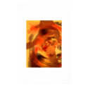 Female Form in Sunset Whirl posters