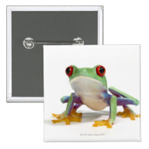 Female frog 2 pin
