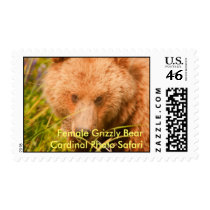 Female Grizzly Bear Grazing stamps