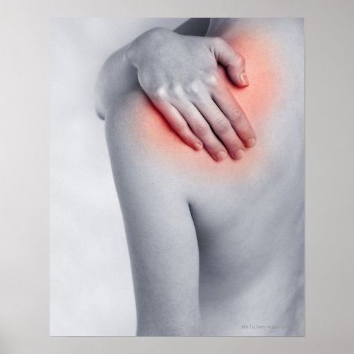 Female Hands Holding The Shoulder And Massaging Poster Zazzle