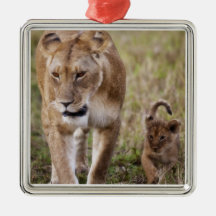 Female Lion with cub (Panthera Leo) as seen in Ornaments