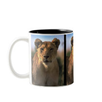 Female Lioness Lion Lovers Gifts Mugs