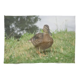 Female Mallard Duck Kitchen Towels