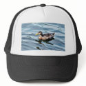 Female Mallard Duck Swimming hats by lifesphere Female Mallard Duck Swimming hats