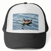 Female Mallard Duck Swimming hats by lifesphere Female Mallard Duck Swimming hats