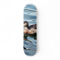 Female Mallard Duck Swimming Skate Decks