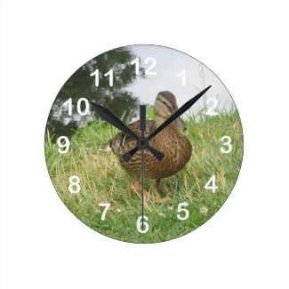 Female Mallard Duck Wall Clock