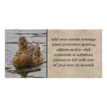Female Mallard Photo Greeting Card
