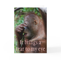 Female Moments cards by Rebecca_Reeder Female Moments cards