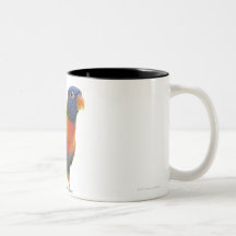 Female Rainbow Lorikeet - Trichoglossus Mugs