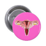Female reproductive system button