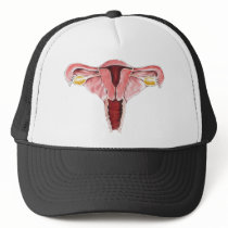 Female Reproductive System hat