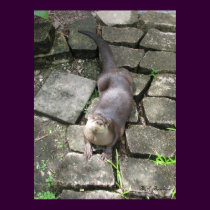 Female River Otter posters by naturegirl7 Female River Otter posters