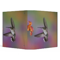 Female Ruby Throated Hummingbird in flight, 2 Vinyl Binder
