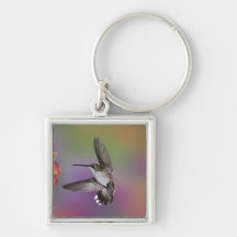 Female Ruby Throated Hummingbird in flight, 2 Key Chain