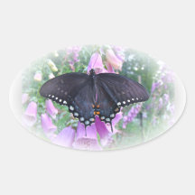 Female Spicebush Swallowtail Butterfly Oval Stickers