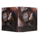 Female Sumatran Orangutan with baby, Pongo Vinyl Binder