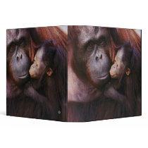 Female Sumatran Orangutan with baby, Pongo Vinyl Binder