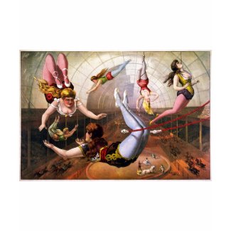 Female trapeze acrobats at circus shirt