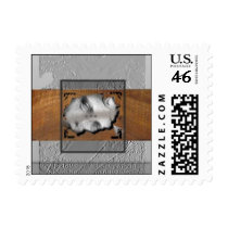 Feminae Antiquae postage by plurals Feminae Antiquae postage