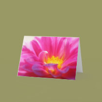 Feminine Beauty cards