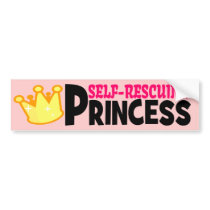 Feminism 401: Strong Independent Woman Bumper Stickers