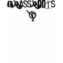 feminism, Grassroots t-shirts