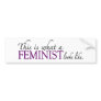 Feminist Looks Like Bumper Stickers