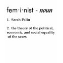 Feminist - noun - Sarah Palin t-shirts