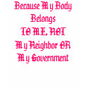 Feminists Against Sarah Palin Pro-Choice t-shirts