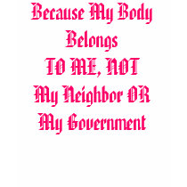 Feminists Against Sarah Palin Pro-Choice t-shirts