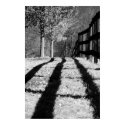 Fence and Shadow posters