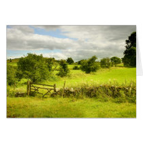 Fence, fields and Meadowsweet Greeting Cards