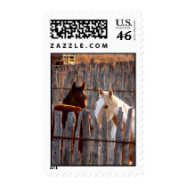 Fence Hiding postage