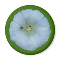 Fence hoist bindweed refrigerator magnets