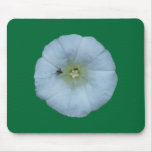Fence hoist bindweed mousepads