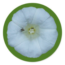 Fence hoist bindweed stickers