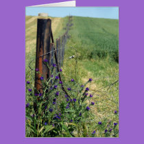 Fence in paddock cards by sharonsphotography Fence in paddock cards