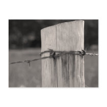 Fence Post and Wire Postcards