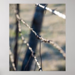Fence Posters