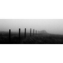 Fence Posts
